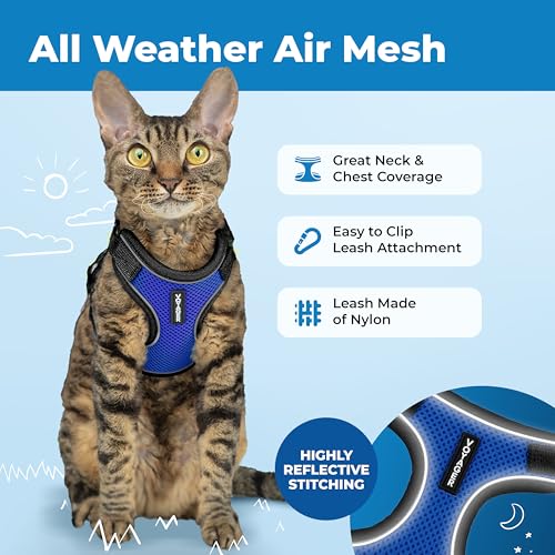 Image of Voyager Escape-Proof Step-in Lock Cat Harness & 5ft Neoprene-Handle Leash Set All-Weather Mesh with Reflective Stitching for Small to Large Cats by Best Pet Supplies, Black Trim-Royal Blue (327), XXS