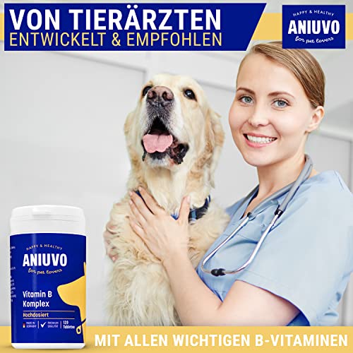 ANIUVO® Vitamin B Komplex Hund [120 Tabletten] für 4 Monate - Hochdosiertes Vitamin B für Hunde - Made in Germany - Hunde Vitamine mit B1, B2, B3, B5, B6, B7, B9 & B12 - Vitamin B Hund