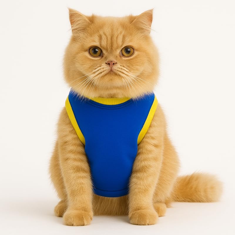 Image of Thunder Tails Printed Cat T Shirt for Cats and Kittens | Breathable Cotton Cat Clothes with Round Neck | Pet Dress for Small to Large Cats Apparel (Star of the Show, XS)