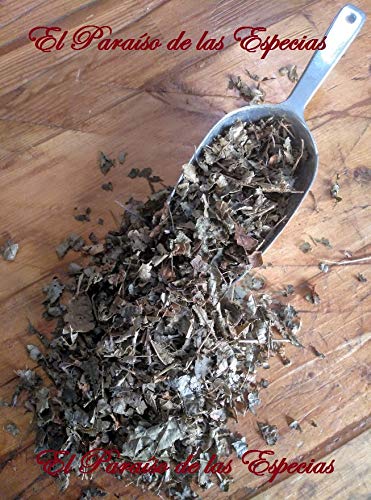 Hamamelis Hojas 1000 grs - Avellano de Bruja Planta Natural 100 %