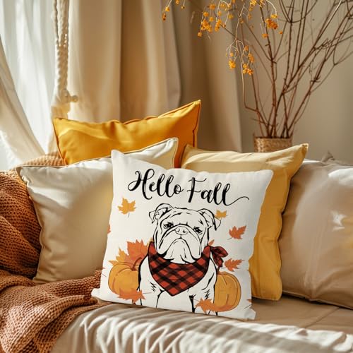 Qiong Meng FALL DOG 1PILLOW-4 Pillow Covers 18X18 Inch English Bulldog Throw Pillow Covers Autumn Harvest Dog Pillowcase Farmhouse Home Decorations Sofa Bedroom Cushion Case thumb #3
