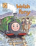 welsh pony kaufen  Welsh Pony: 7