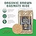 Jiva Organic Brown Basmati Rice 10 Pound Bag - Premium Quality from India