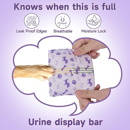 MICOOYO Dog Nappies Female 20 count, Disposable Dog Period Pants with Adjustable Tail Hole - Image 4