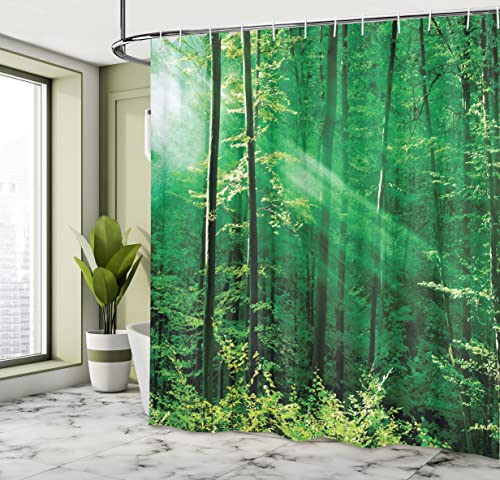 ABAKUHAUS Forest Shower Curtain, Sun Rays Bursting into the Forest Trees Foliage Misty Morning Serenity Picture - Image 4