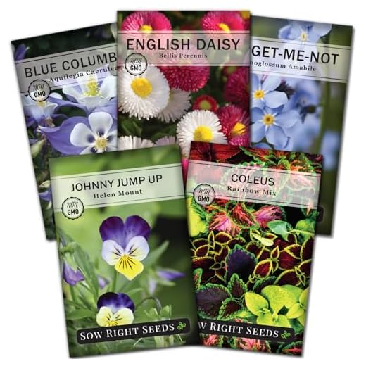 Sow Right Seeds - Part Shade Flower Seed Collection for Planting - 5 Packets Blue Columbine, Violet, English Daisy, Forget-me-not, and Rainbow Coleus - Non-GMO Heirloom to Grow in Low Sun Areas