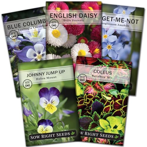 Sow Right Seeds - Part Shade Flower Seed Collection for Planting - 5 Packets Blue Columbine, Violet, English Daisy, Forget-me-not, and Rainbow Coleus - Non-GMO Heirloom to Grow in Low Sun Areas