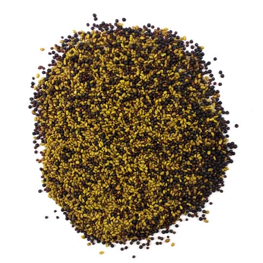 SkySprouts Organic Alfalfa & Broccoli Sprouting Seeds 100g - Non-GMO | High Germination
