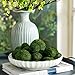 Biubee 18 Pack Decorative Faux Dried Moss Balls- 6pcs 3.1