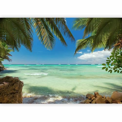 Fotomurales B&D XXL   350x256 cm XXL Papel pintado tejido no tejido Decoración de Pared decorativos Murales moderna de Diseno Fotográfico naturaleza mar Palms c A 0055 a a