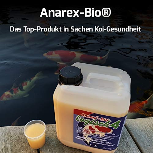 Teichbakterien Anarex-Bio 5 l – Biologische Milchsäurebakterien für Teiche