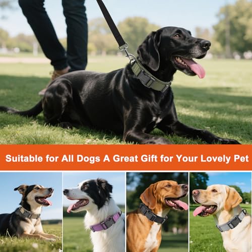 Ledeak Taktisches Hundehalsband, Verstellbares Polypropylen Nylon Hunde Halsband mit Sicherheitsschnalle, Gepolstert Weich Hundehalsbander, Tactical Dog Collar für Mittlere Große Hunde (Violett, M)