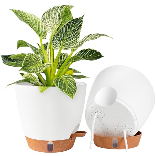 2 Pack 8 Inch Pots for Plants Indoor, Plastic Self Watering Planters with Drainage Holes,...