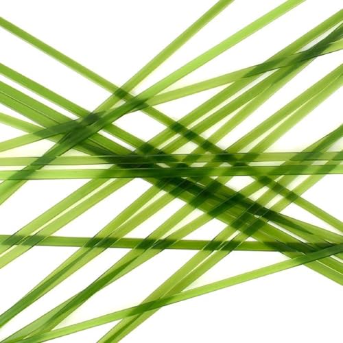 Noodles Forest Green Opal 96coe 5 oz Tube Glass