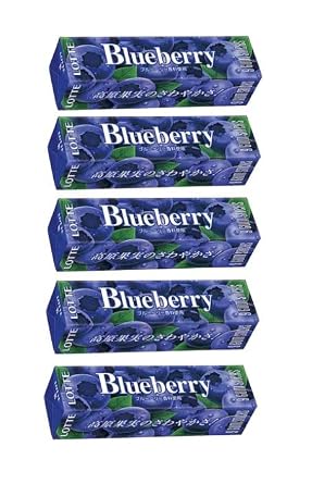 Pio big bazar Blueberry Gum 0.9oz 5pcs Japanese Blueberry Taste Chewing Gum Lotte