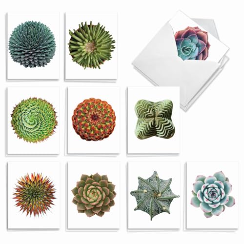 Cartes assorties cactus colorés 10x13cm pour ne plus oublier de fêtes