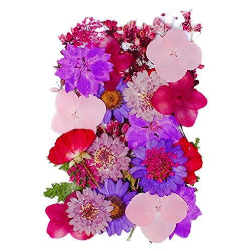 Newmind 2 peças de materiais de flores secas prensadas faça você mesmo para fazer cartões