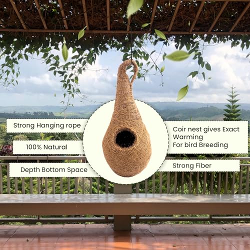 Image of Handwoven Coir Bird Nest - Natural Hanging Birdhouse for Sparrows, Finches, Java Sparrows & Other Small Birds, Ideal for Gardens, Balconies & Trees, (Pair of 3)(* 6 pcs)