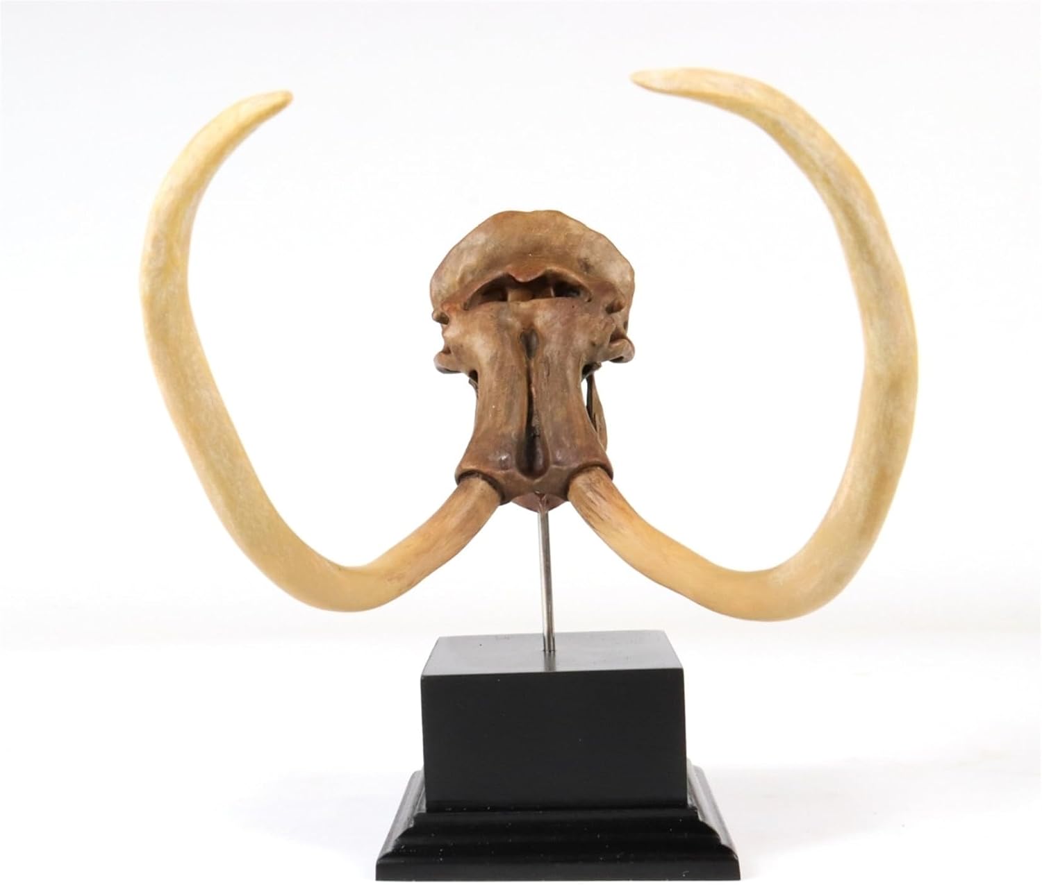 3D Printed Mammoth Skull Model Hand Painting Figure