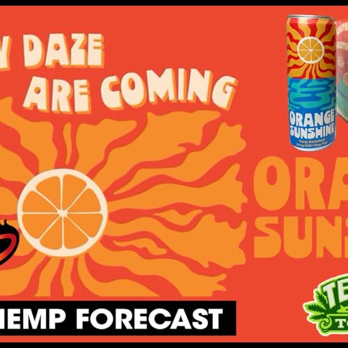 Page de couverture de Texas Hemp Forecast - Orange Sunshine