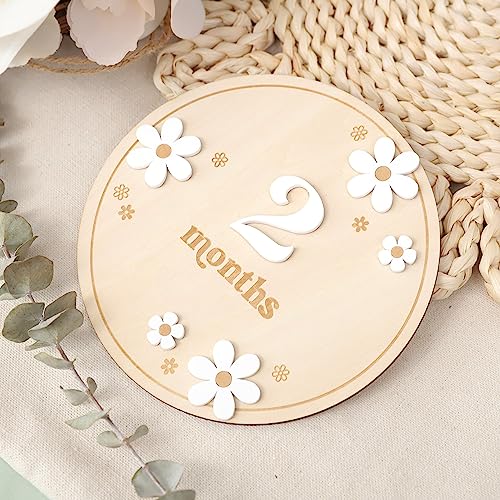 Image of Wooden Boho Daisy Flower Milestone Cards - 1-12 Months Interchangeable Milestone Card Decor,Baby Party Photo Prop，Full Moon Background Decoration Props. (2-12 Months Daisy Flower Milestone Cards)