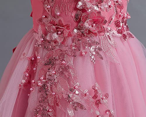 TTYAOVO Girls Applique Prom Gowns Luxury Wedding Birthday Party Princess Long Dresses4