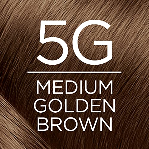 L'oreal Paris Excellence Creme Permanent Triple Care Hair Color, 5G Medium Golden Brown, Gray Coverage For Up To 8 Weeks, All Hair Types, Pack Of 1 #TOP4