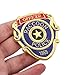 Raccoon Police Metal Badge Pin Costume Merch for Resident Leon Cosplay - Halloween Costume Party Prop Accessories Women Men Jewelry Gift, (Officer)