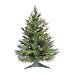 Vickerman 2' Cheyenne Pine Artificial Christmas Tree with 50 Clear lights