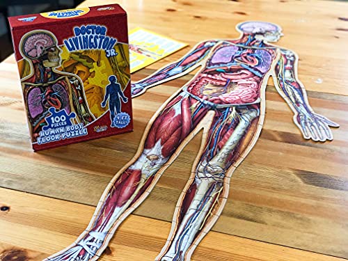 Human Body Kids 100 Piece Floor Puzzle - 4ft Tall | Dr Livingston\'s Unique Shaped Science Floor Jigsaw Puzzles, Accurate Medical Illustrations of The Body for Kids - Thumbnail 4