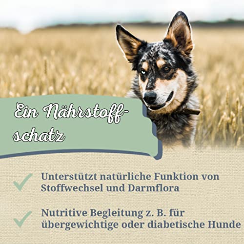 Krauterie Topinambur Hund, Einzelfuttermittel für Hunde (100 g), Topinambur Pulver in Spitzenqualität