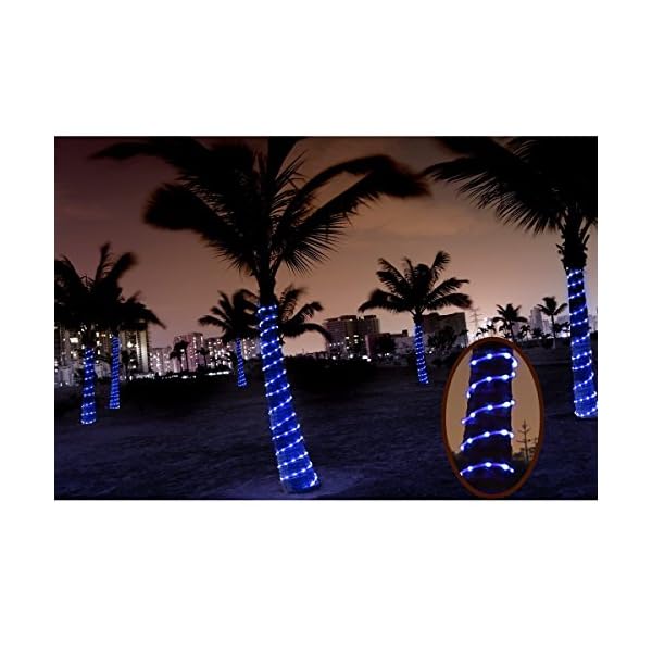 BXROIU Solar Lichtschlauch Lichterkette,10 Meter 100 LEDs Wasserdicht Außenlichterkette, LED Lichterketten für Hochzeit… – Bild 5