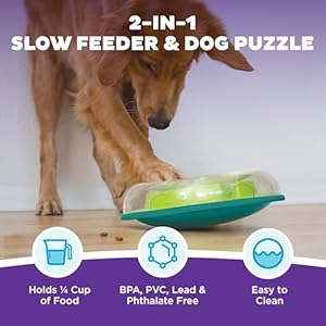 Outward Hound Nina Ottosson Wobble Bowl Dog Game -Interactive Slow Feeder Bowl Dog Game Outward Hound Nina Ottosson Wobble Bowl Dog Game Interactive Slow Feeder Bowl Dog Game
