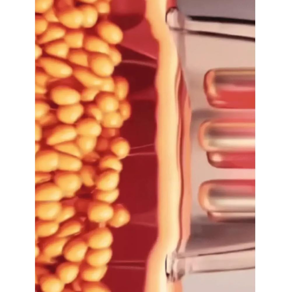 Massaggiatore Anti Cellulite, Beauty AntiCellulite Massaggiatore - Tonifica, Drena, Rassoda, Fai Pace Con La Tua Pelle, Una Volta per Tutte (Bianco)