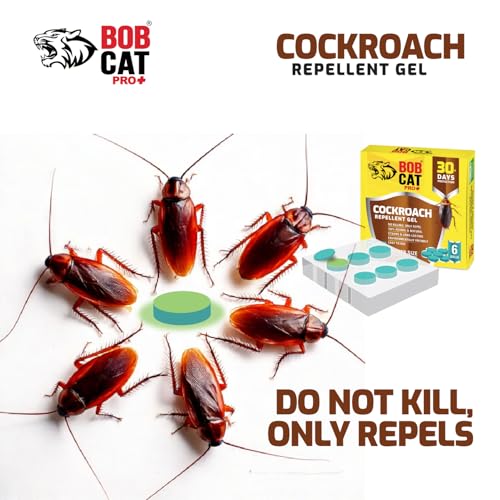 Image of Natural Cockroach Repellent Gel | 100% Herbal | Most Effective 30 Days Strong Protection | Long-Lasting | Eco-Friendly | For Car, Home, Warehouse, Factory & Office | Pack of 6 | FORMULATION 3X