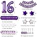 Sweet 16 Decorations - Purple 16th Birthday Party Decorations, HAPPY BIRTHDAY Banner, Silver Number 16 Balloons for Him & Her 16 Years Old Party