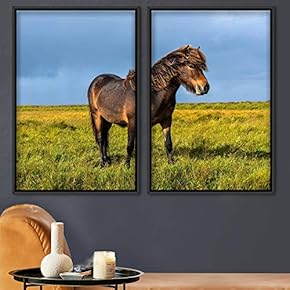 signwin 2 Piece Framed Canvas Wall Art Horse...