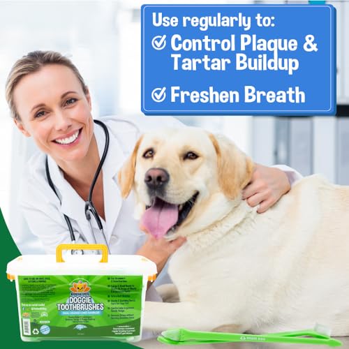 Image of Bodhi Dog Dual-Headed Toothbrush for Dogs & Cats - Soft Bristles for Gentle Pet Dental Care - Puppy & Adult Teeth Cleaning - Easy-to-Use Design for Healthy Gums & Fresh Breath (100 Count) (Pack of 2)