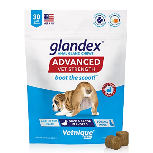 Glandex Advanced Strength Anal Gland Soft Chews con Mega Fibra para Perros, Enzimas Digestivas, Probióticos - Veterinario Recomendado para Arrancar el Scoot Vegan Duck & Bacon… (30)