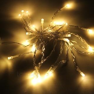 JnDee 13Feet 4M 40LED Battery Powered LED Fairy Lights Warm White, ON Off Flash Functions, Perfect for Christmas Wedding