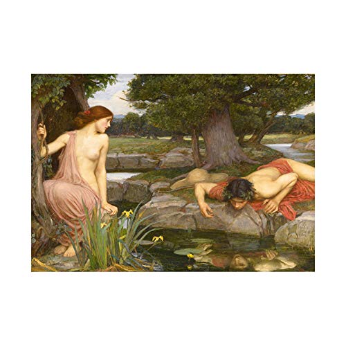 Wee Blue Coo Painting Waterhouse Echo Narcissus Framed Print F12X3789