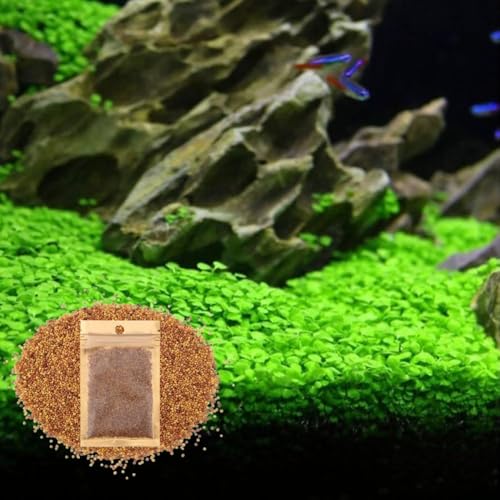 Fresh Water Aquarium Plant Starter Kit, Easy Growing, Small Leaf, Dwarf Carpet Decor for Fish...