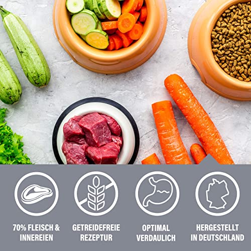 daily choice - 12 x 400 g (Dose) - Nassfutter für Katzen - getreidefrei - Fleischmenü mit Huhn - Hoher Fleischanteil (70%) Pures Fleisch und Innereien