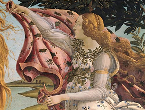Impression d'affiches La Naissance de Vénus de Botticelli, toile 60x90cm pour salon