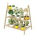 SJDWDX Blumentopf-Regal, Bambus, Bodenstehend, mehrschichtig, Blumentopf-Regal, grüner Dill, Sukkulentenhalter für Balkon, Garten, Hof
