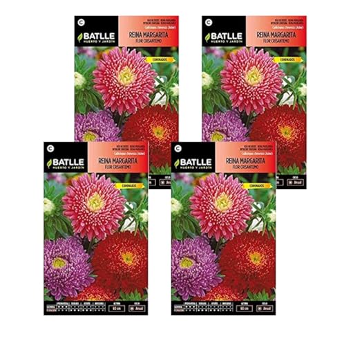 Semillas de margarita crisantemo de Semillas Batlle PACK (4)