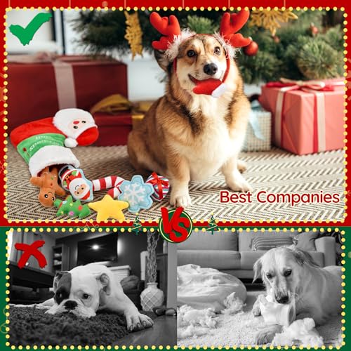 LECHONG 9 Pack Weihnachten Hundespielzeug Set, 8 gefüllte Hund Quietsche Spielzeug mit Hundespielzeug Lagerung Weihnachten Socke für kleine Hunde und Welpen, Weihnachten Spielzeug Geschenk für Hunde