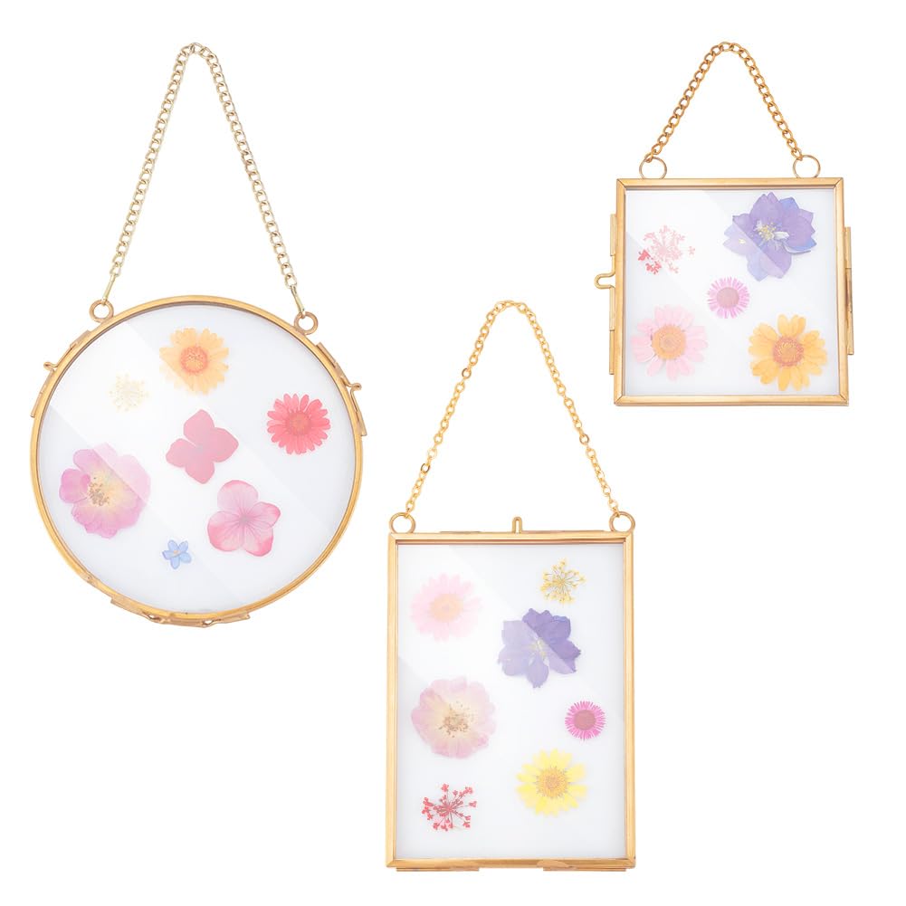 Cadres en verre pour fleurs pressées OLYCRAFT : lot de 3 cadres suspendus en laiton doré
