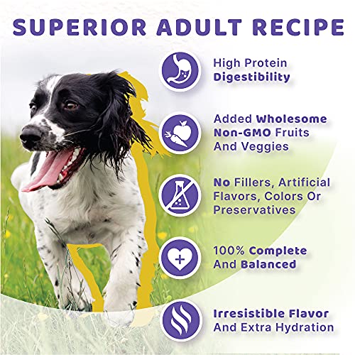 Halo Adult Wet Dog Food, Turkey & Salmon Stew, 13.2Oz Can (Pack Of 6) #TOP5