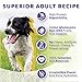 Halo Healthy Grains Adult Dog Wet Food, Turkey Recipe in Broth, 13.2 oz, Case of 6